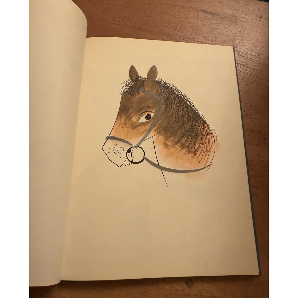 DONKEY-DONKEY by ROGER DUVOISIN | PARENTS' MAGAZINE PRESS VINTAGE 1968 EUC - Picture 4 of 7